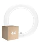 Multipack 4x Ledvance Tube LED T9 Value Circulaire (EM/Direct 230V) 11W 1320lm - 840 Blanc Froid | Équivalent 22W